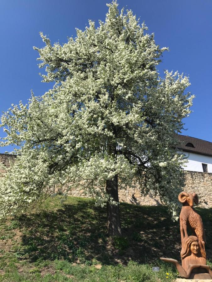 Penzion Marie - Zumberk Buitenkant foto